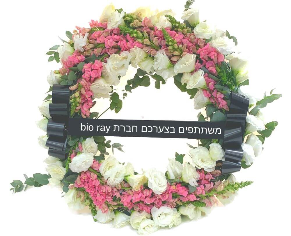 גלגל אבל לוע הארי וליזי