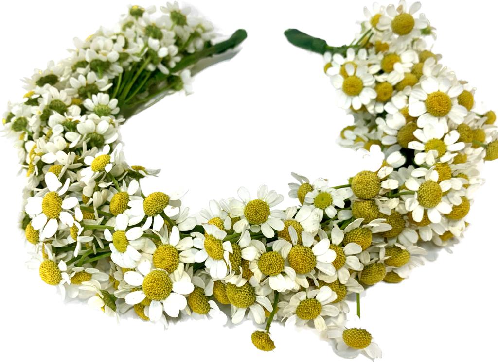 זר לראש חרציות