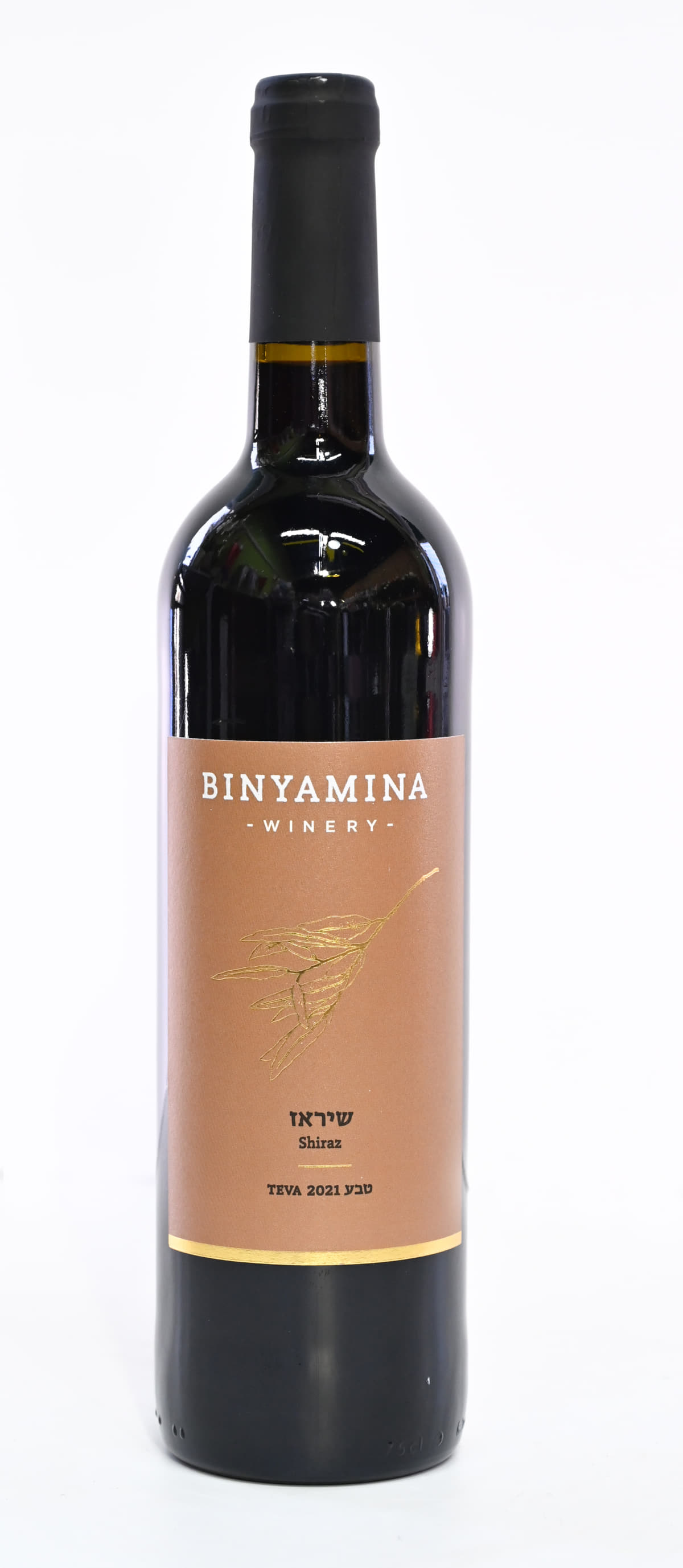 שיראז אדום בנימינה