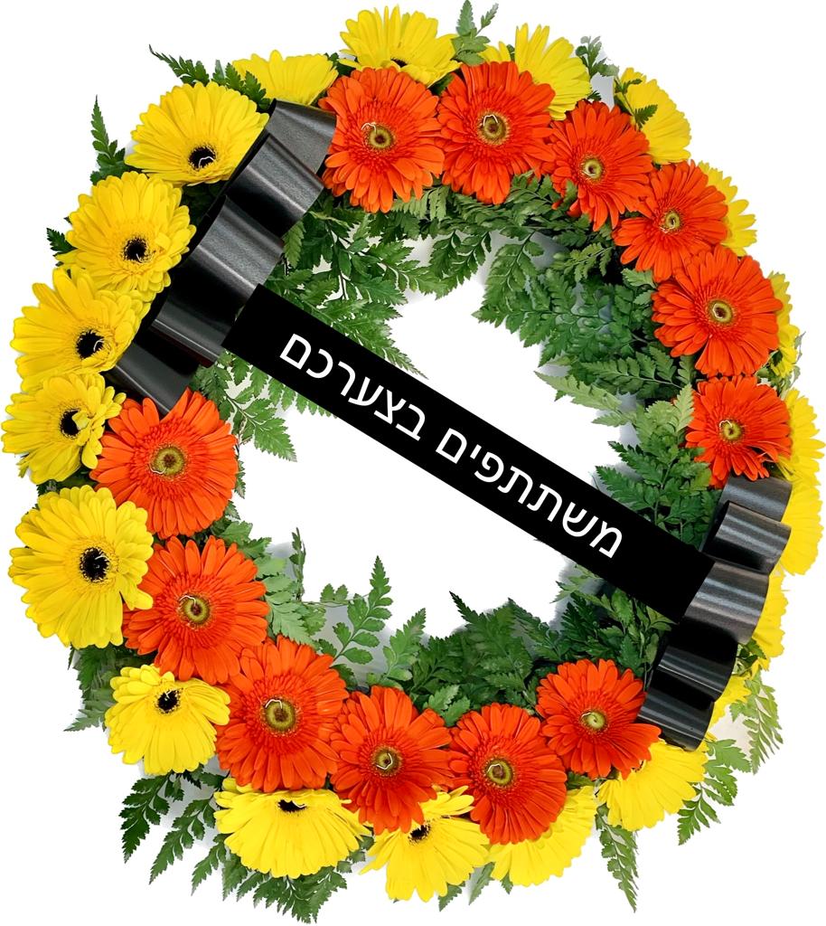 גלגל אבל גרברות שמש