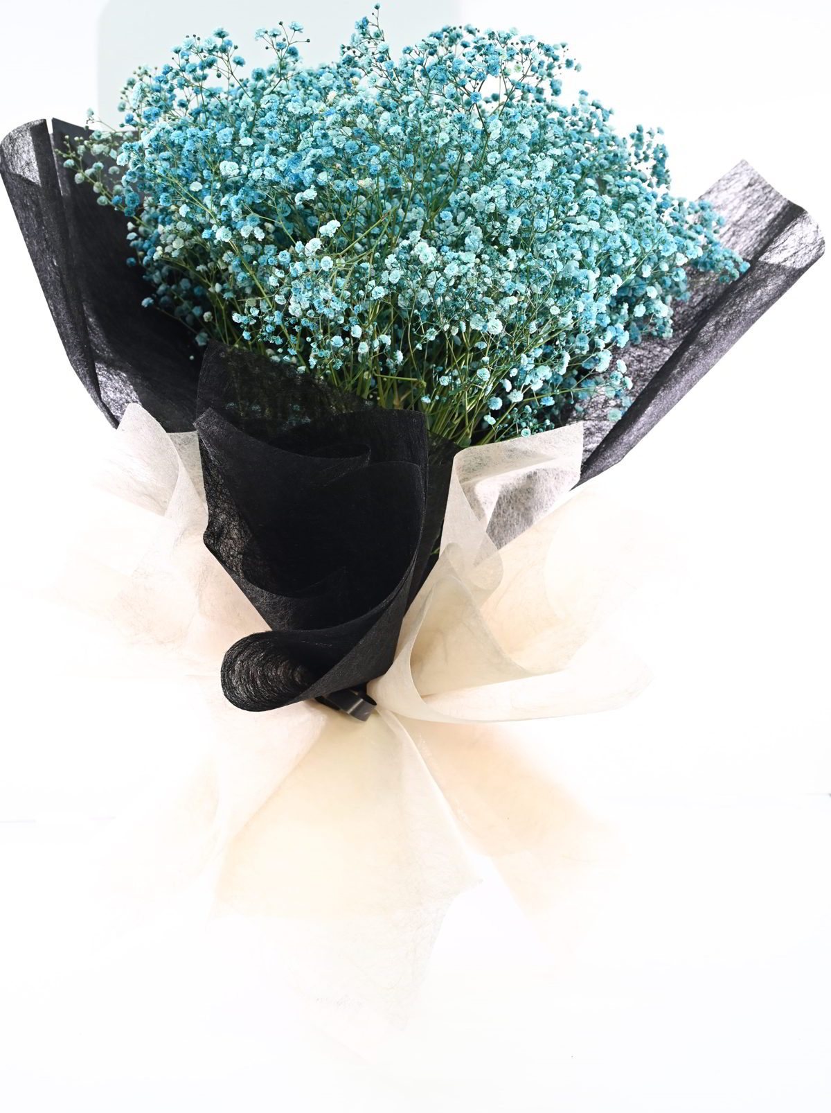 זר גיבסניות תכלת