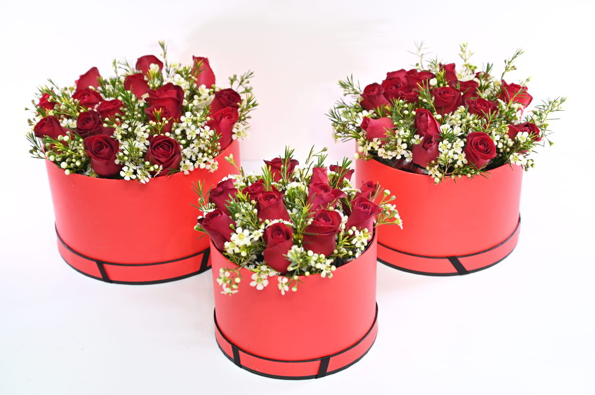 סידור ורדים מרענן